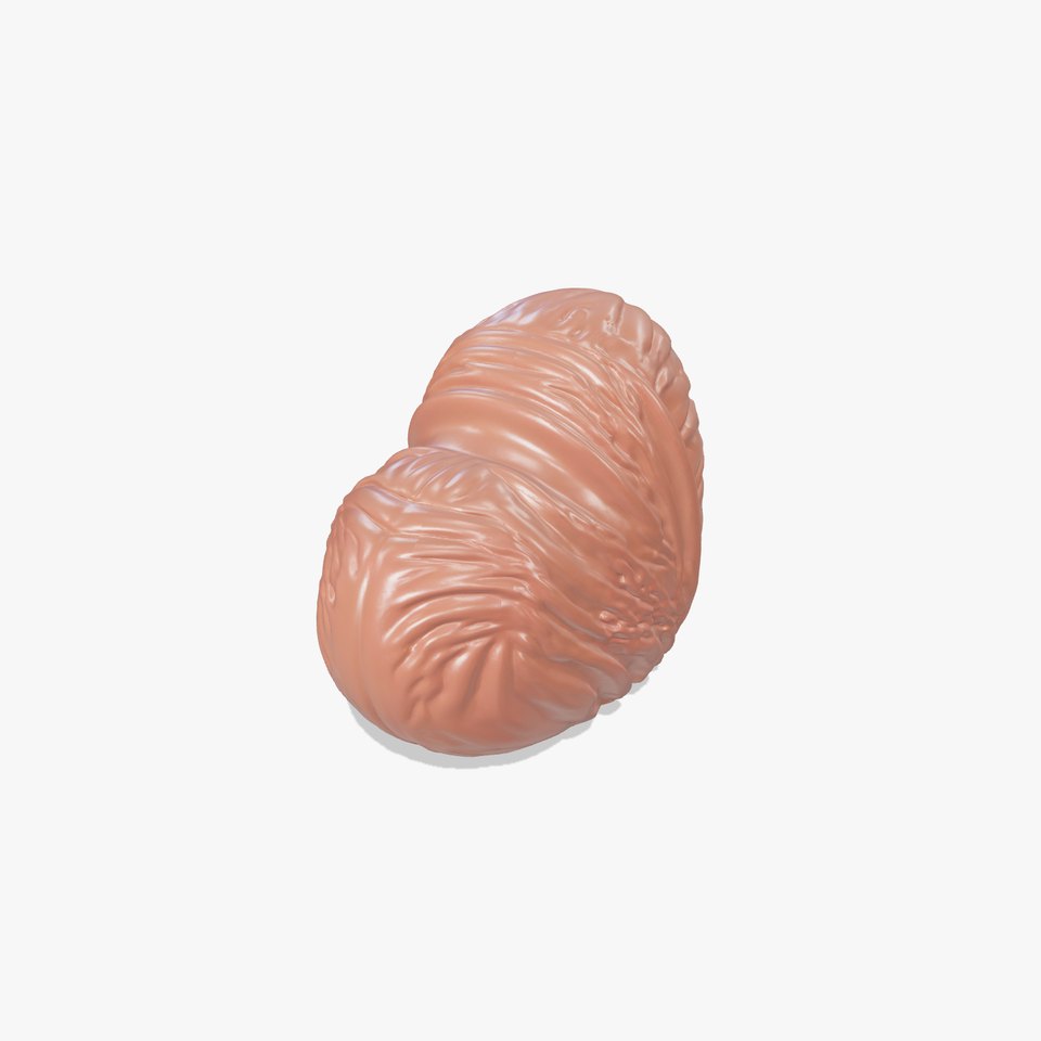 Heartshaped Chocolate Model Pack